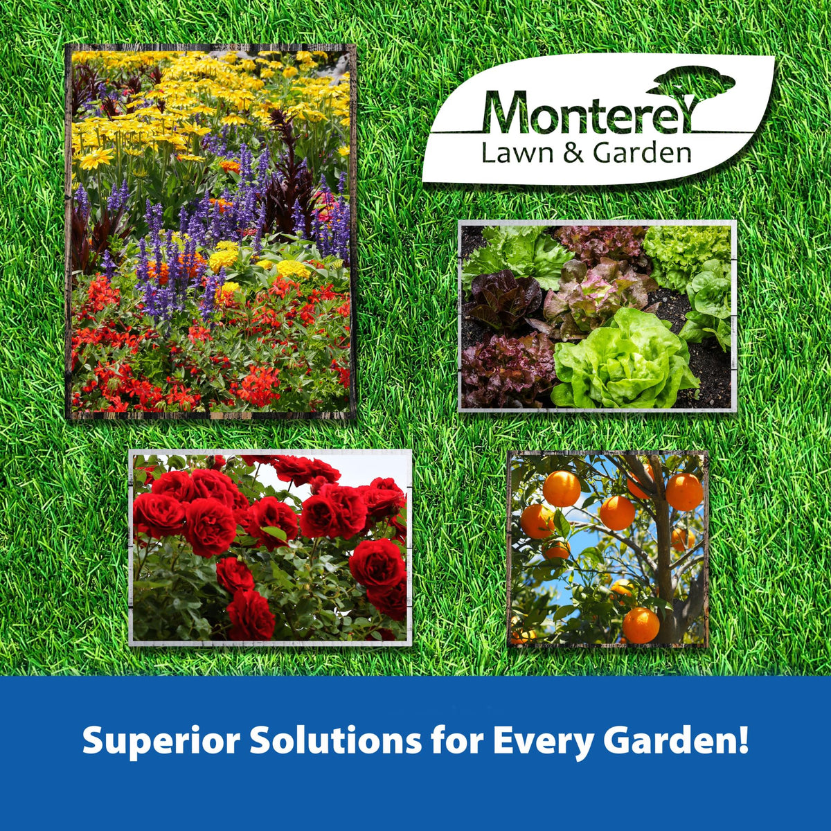 Monterey Epsom Salts 4 lb packaging ideal for home gardens.