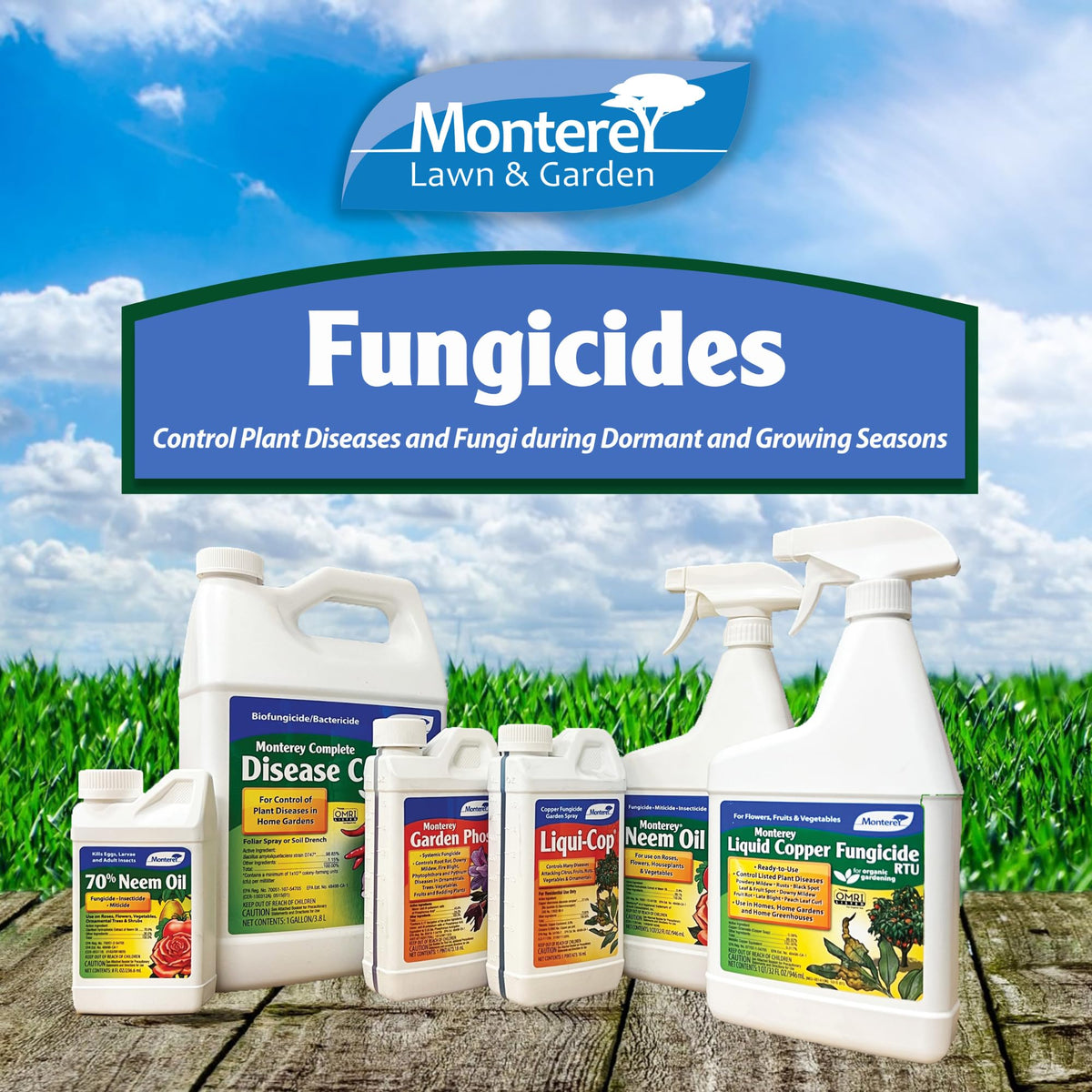Soil drench application with Monterey Garden Phos supports root health.
