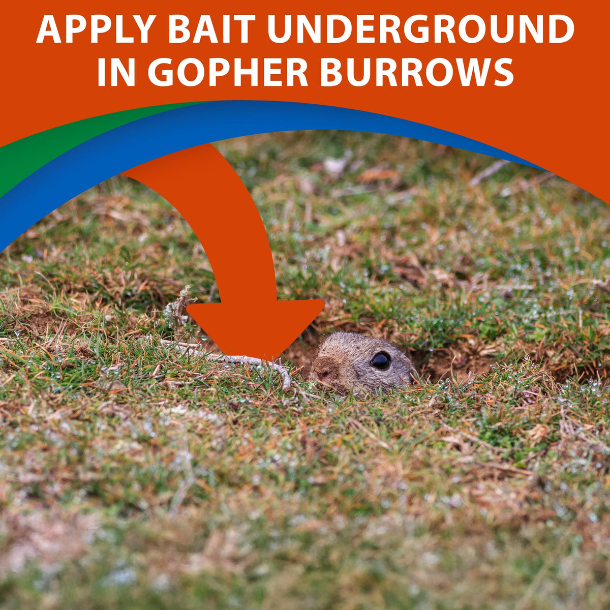 Monterey Go-DIE Gopher Bait actively placed into runways for non-crop use.