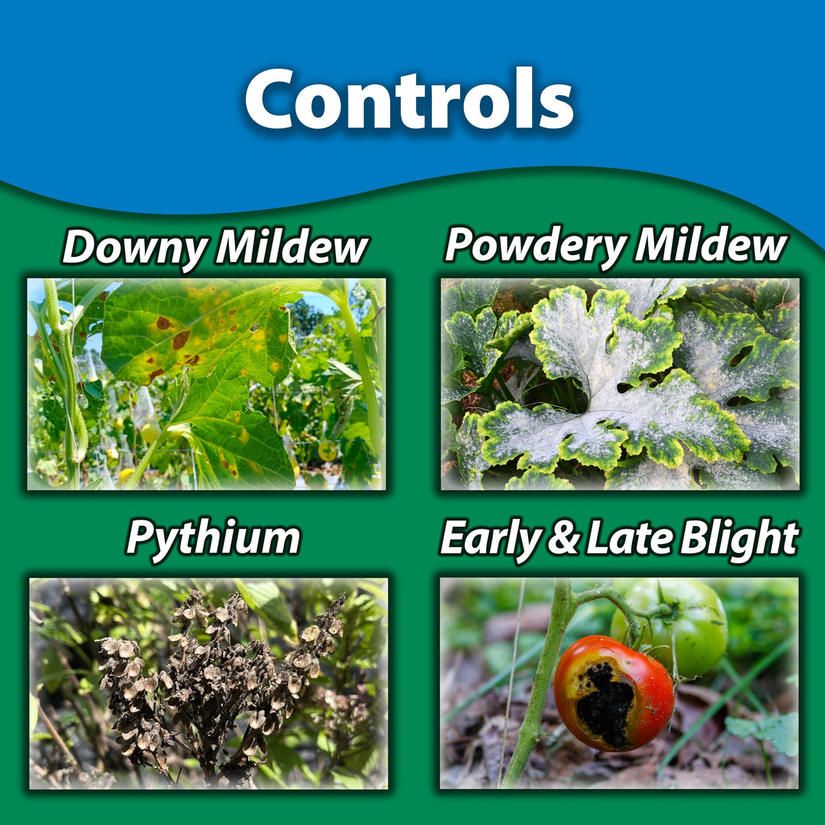 Liqui-Cop ready-to-spray container ensures simple, effective application in the garden