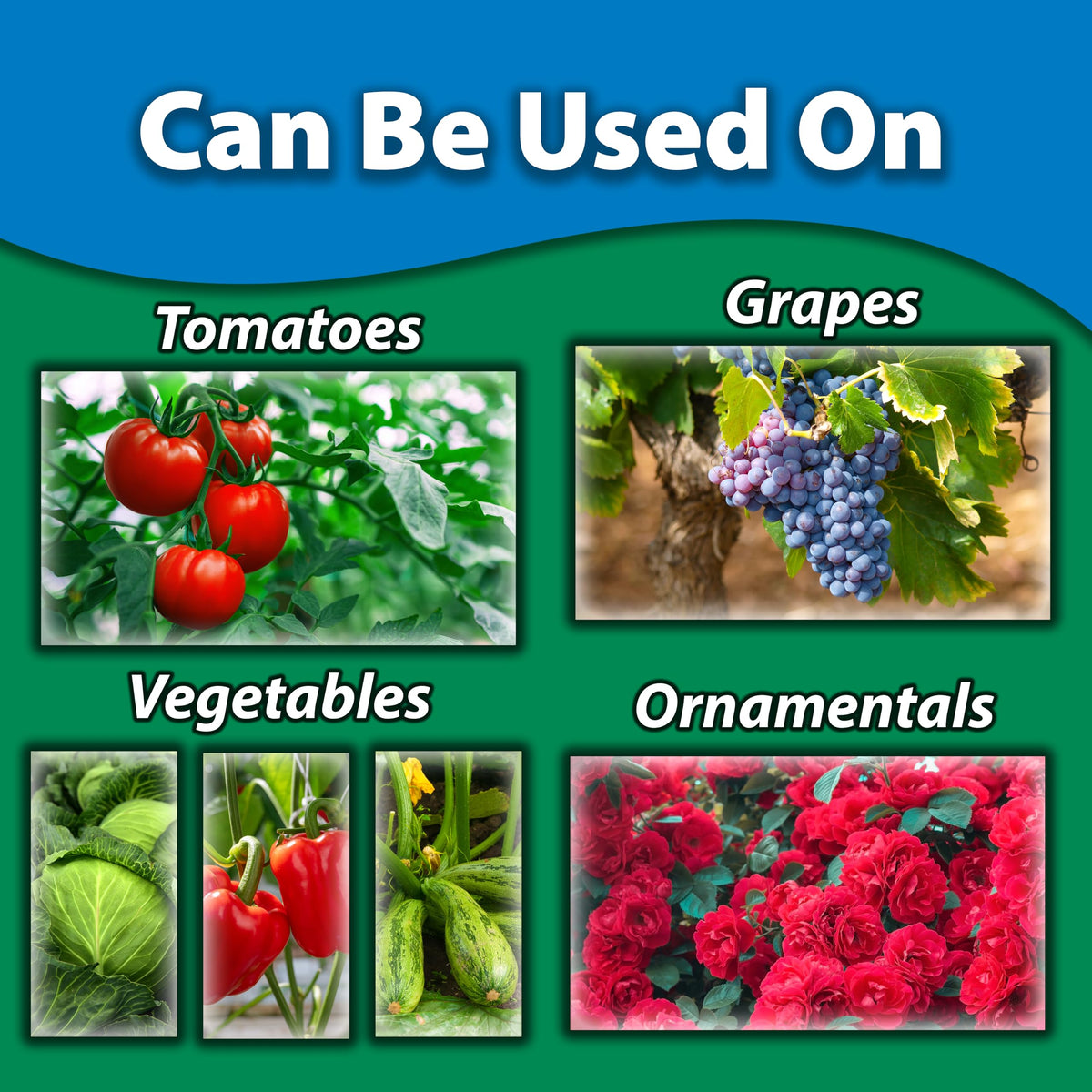Monterey Liquid Copper Fungicide label close-up emphasizes ready-to-use design.