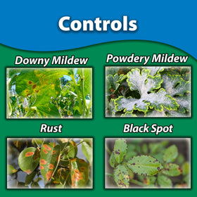 Monterey Liquid Copper Fungicide with measuring spoon helps precise mixing.
