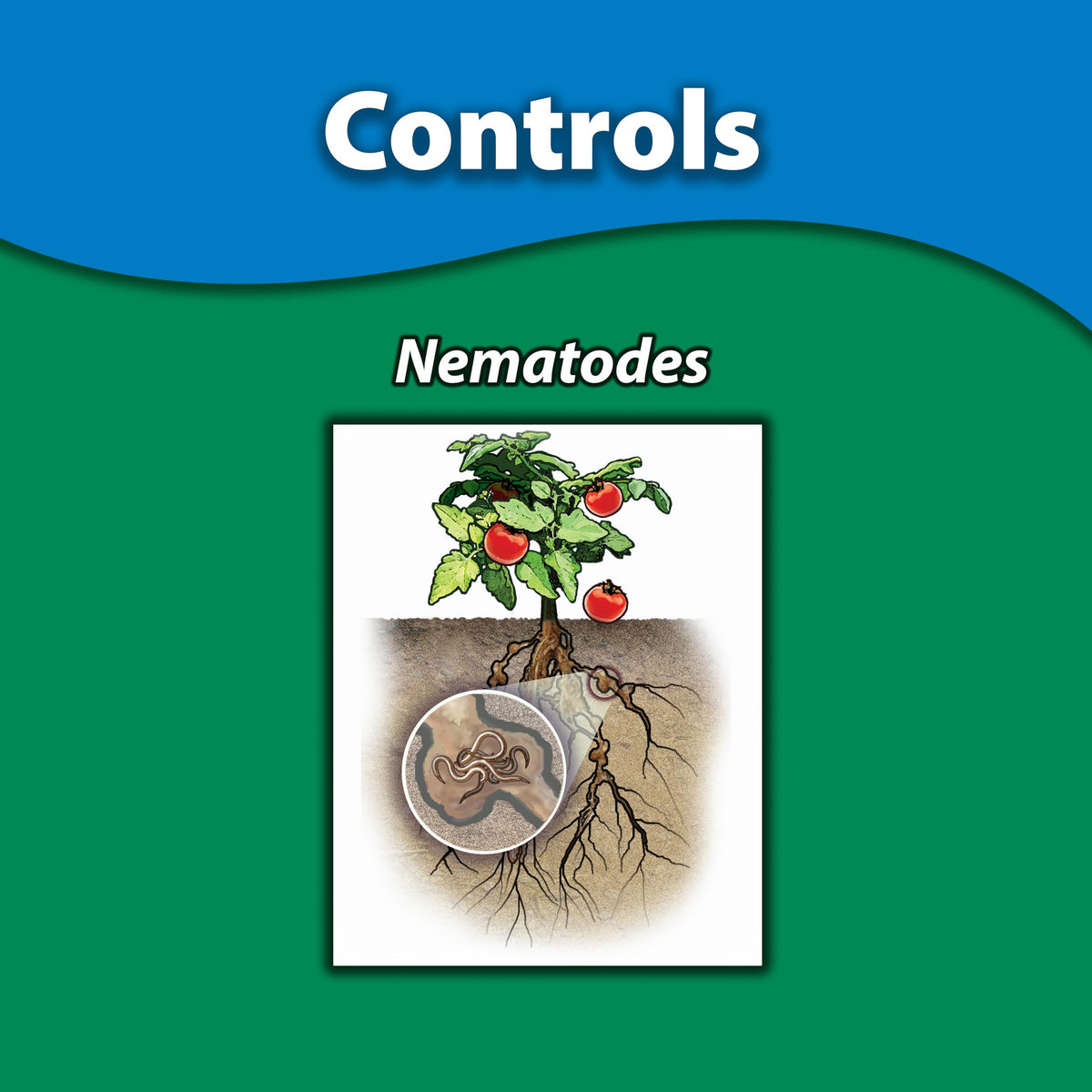 Monterey Nematode Control mixes with water for effective soil treatment