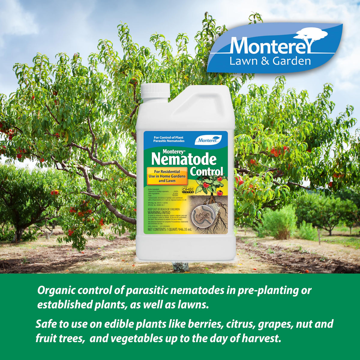 Drench application targets root zones for nematode suppression
