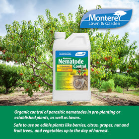 Drench application targets root zones for nematode suppression