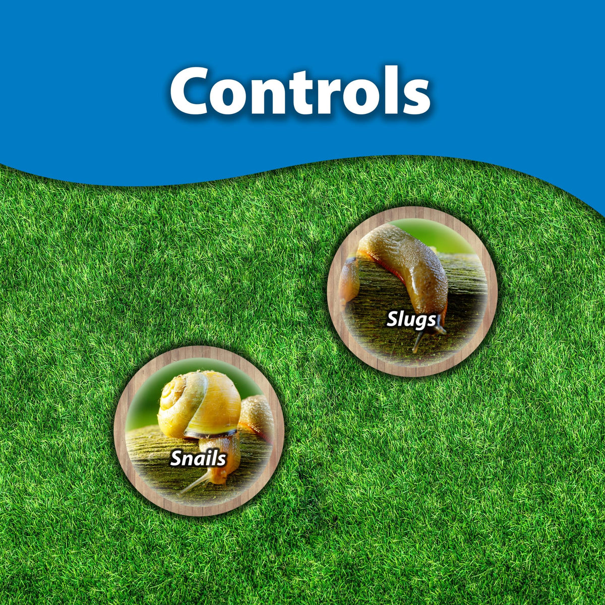 Monterey Sluggo Maxx applied to plant base for garden protection.
