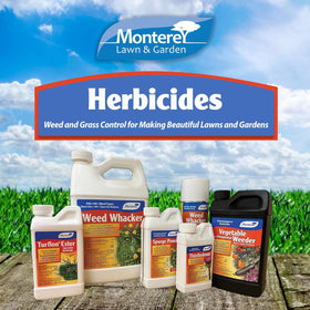 Monterey Turflon Ester app in action demonstrates targeted weed suppression for lawns