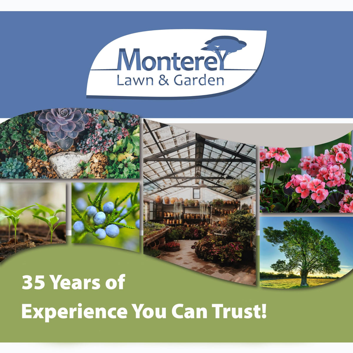 Monterey Turflon Ester lawn with healthy green turf shows cool-season weed management possibilities.