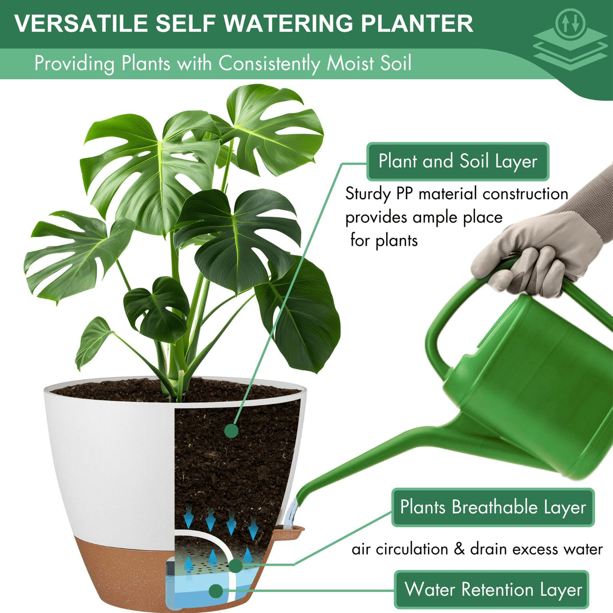 Montresor 10-inch pot suitable for bathroom pothos and plants