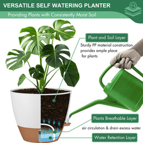 Montresor 10-inch pot suitable for bathroom pothos and plants