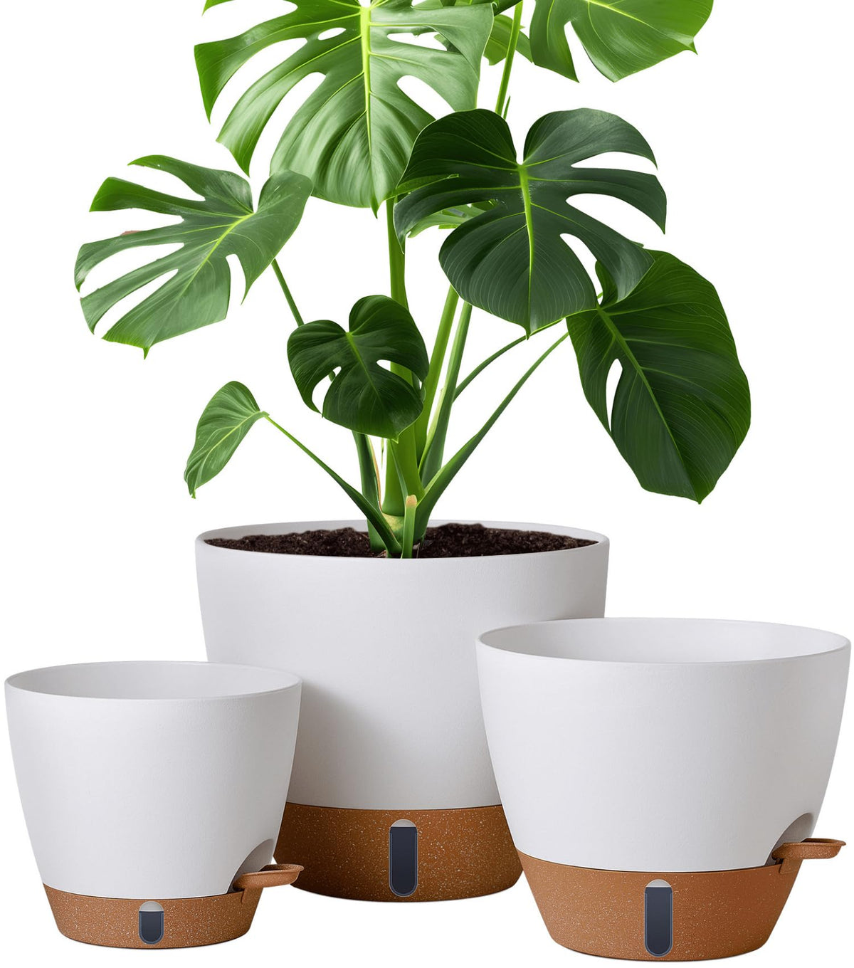 Montresor 12-inch self-watering pot with water window for easy moisture checks