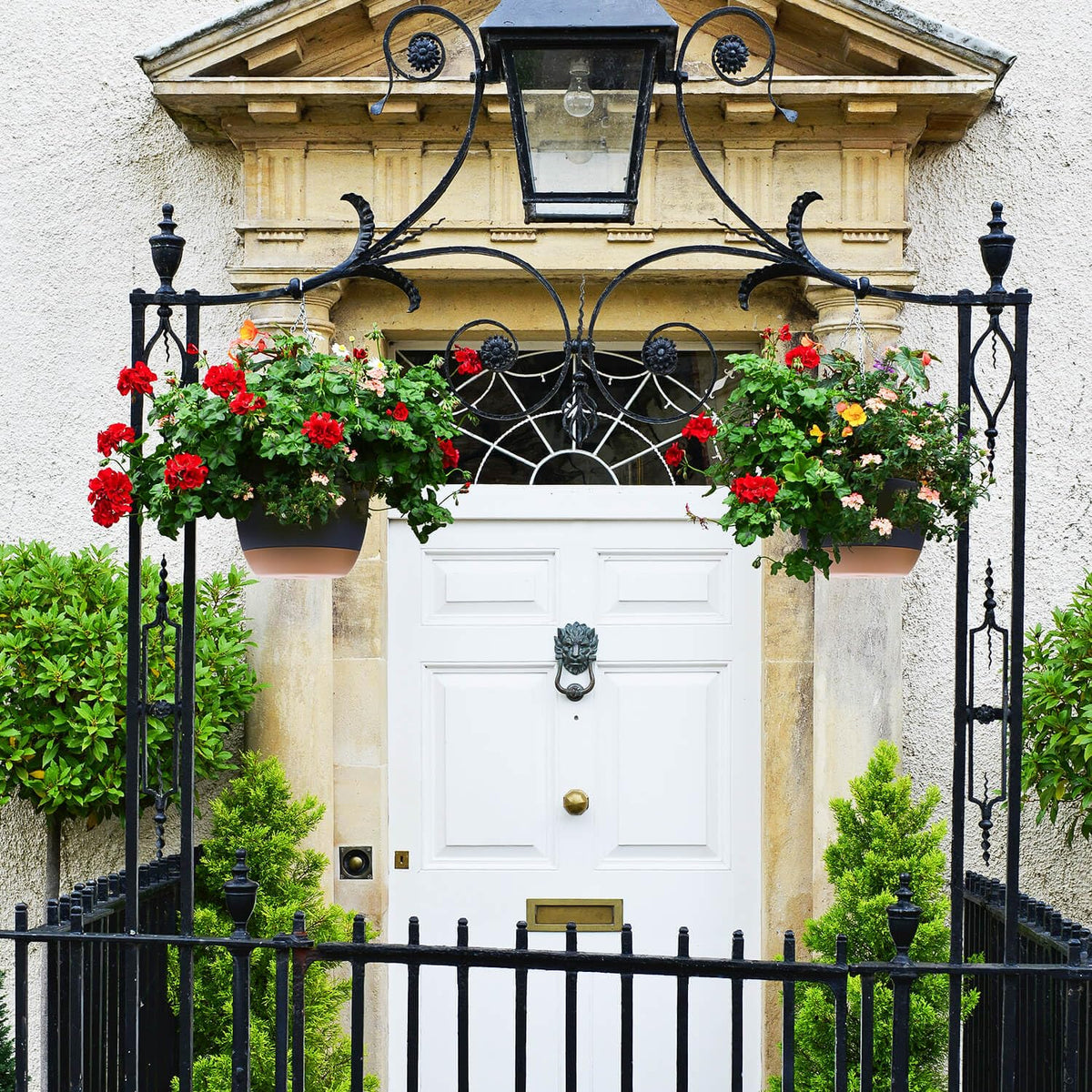 Montresor two-set 8-inch hanging baskets are versatile for indoor or outdoor displays.