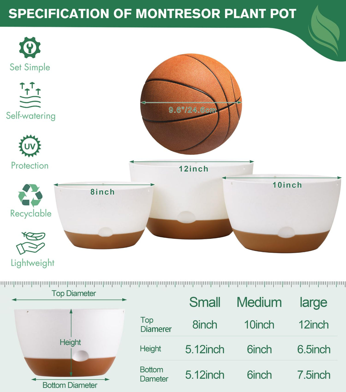 Montresor 8-inch hanging planter in use for indoor outdoor display