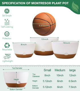 Montresor 8-inch hanging planter in use for indoor outdoor display