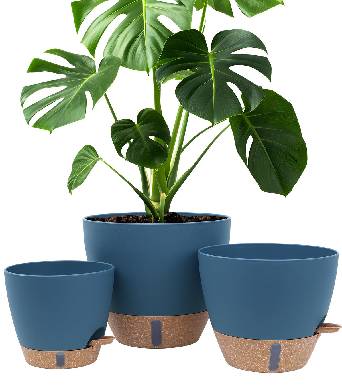 Montresor 8 inch self-watering pot with water level window for easy moisture checks.