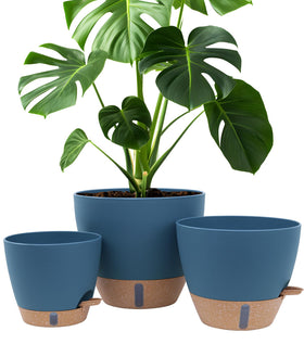 Montresor 8 inch self-watering pot with water level window for easy moisture checks.
