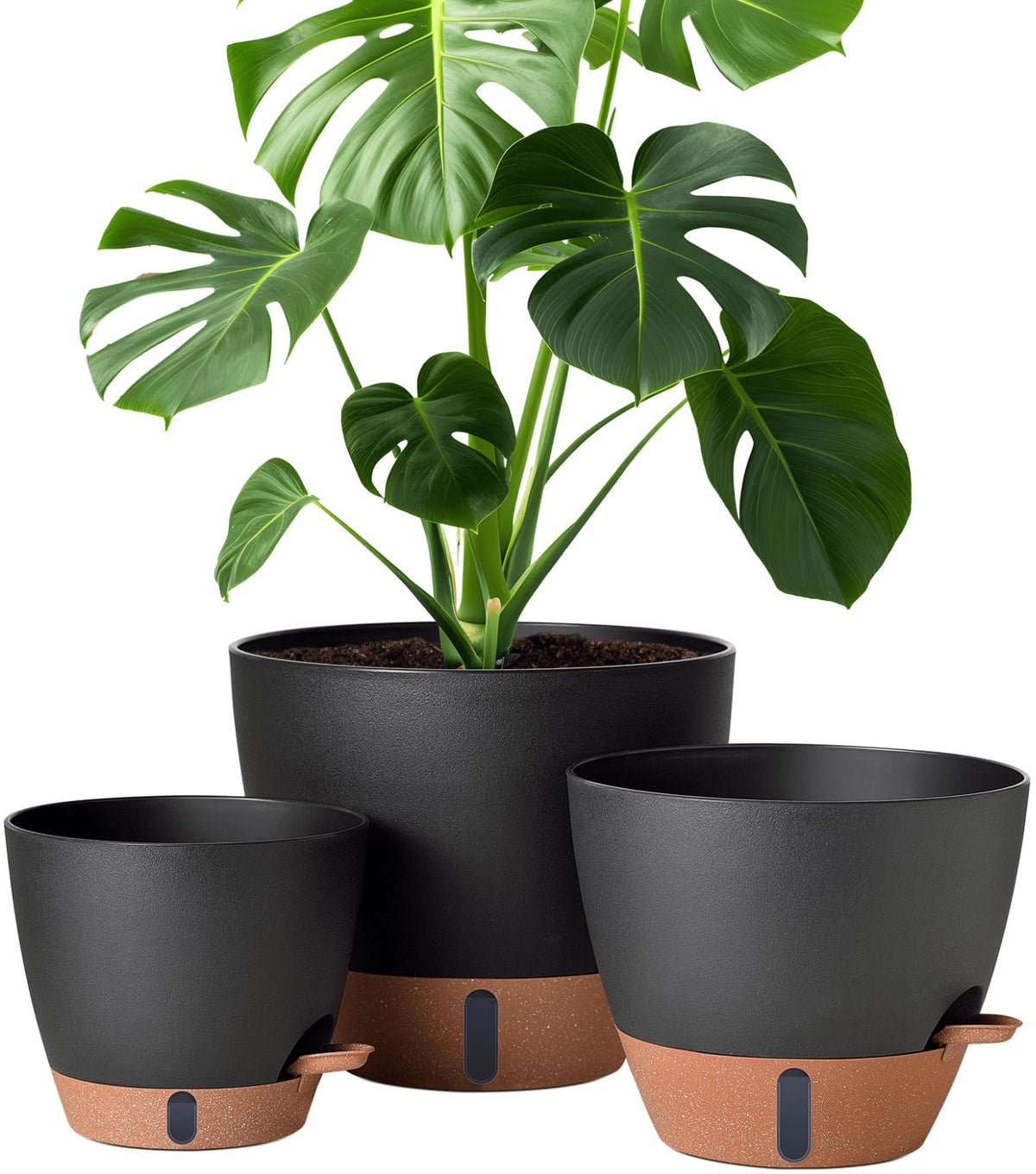 Montresor 8-inch self-watering pot with water window for easy moisture monitoring.