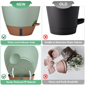 Montresor bottom-watering pots set suitable for varied indoor plants
