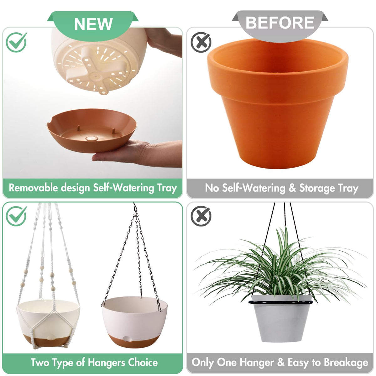Montresor 10-inch pot fits flowers, ferns, and succulents