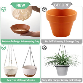 Montresor 10-inch pot fits flowers, ferns, and succulents
