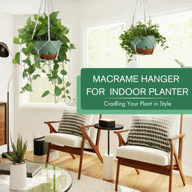 Montresor hanging planter with drainage and ventilation for healthy roots