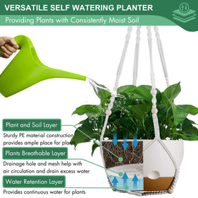 Montresor hanging planter set includes two hooks for versatile installation