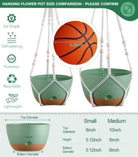Montresor indoor-outdoor plant display suitable for a variety of plants