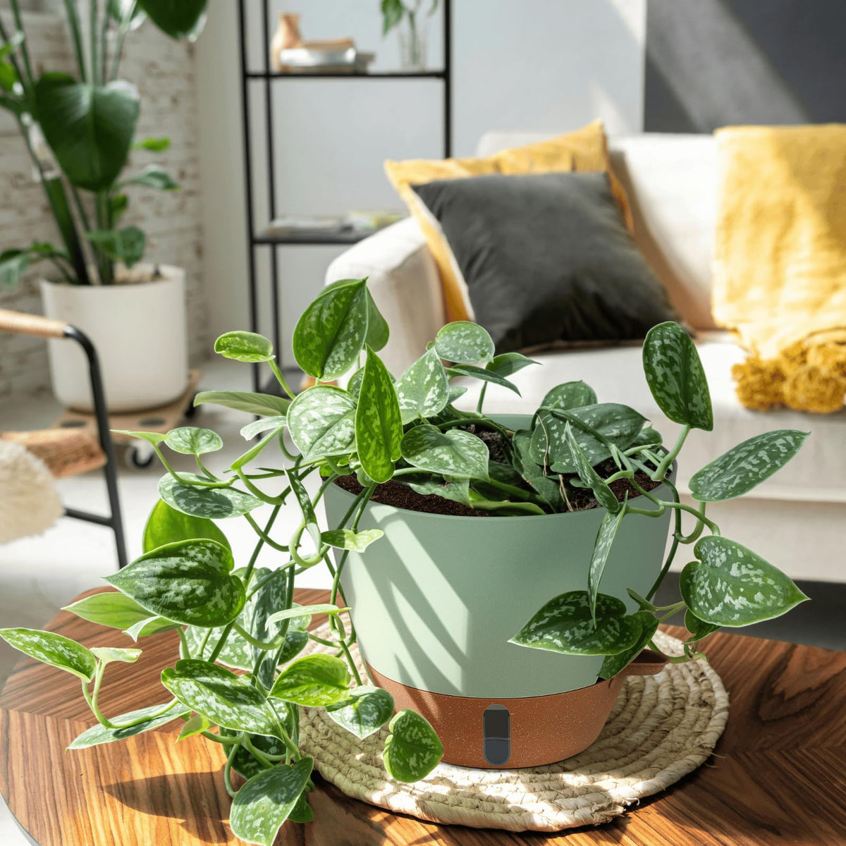 Montresor neutral-tone planter fits kitchen, bathroom, living space