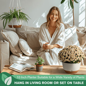 Montresor weather-resistant outdoor hanging planter for year-round use
