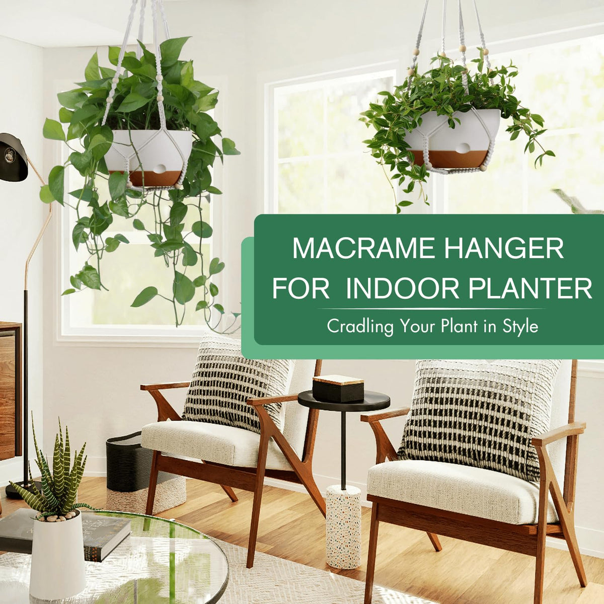 Montresor hanging pot with removable saucer for easy plant care
