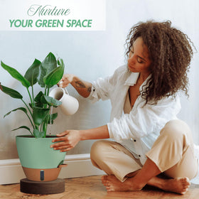 Montresor self-watering 12-inch pot large indoor plant, visible moisture reservoir