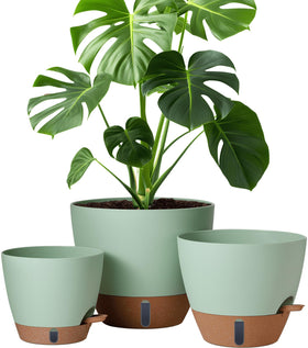 Montresor self-watering 8-inch pot with water level window for easy moisture checks