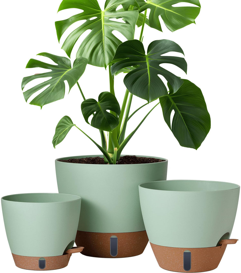 Montresor self-watering 8-inch pot with water level window for easy moisture checks