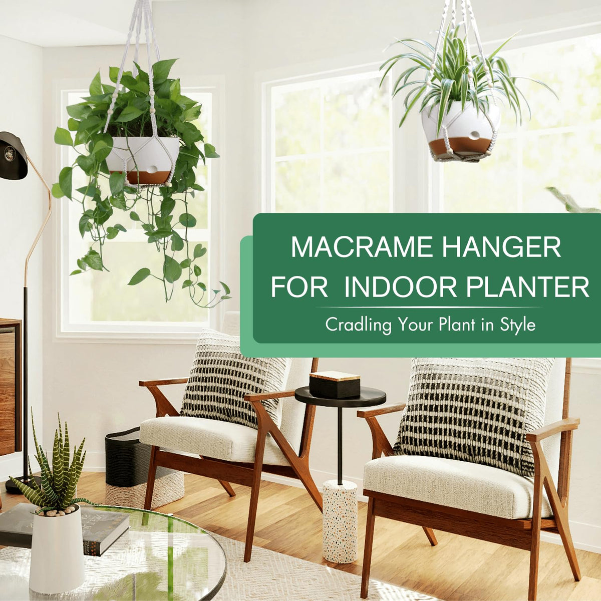Montresor self-watering hanging pot with removable saucer for easy cleaning and refilling