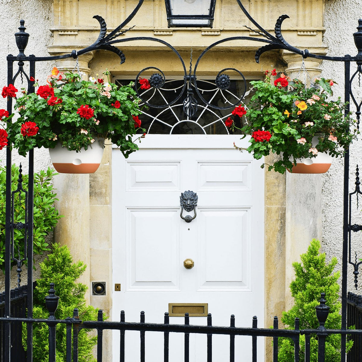 Montresor set of two hanging planters for versatile displays