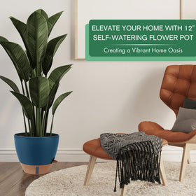 Montresor smart drainage planter with detachable tray protects floors and promotes airflow.