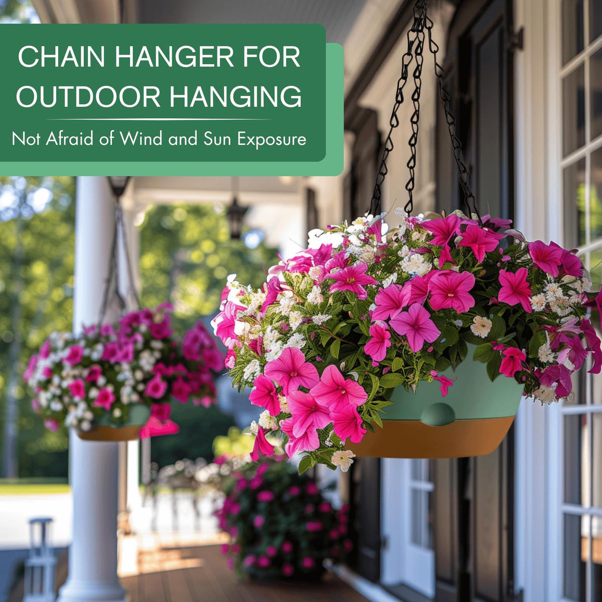 Montresor ventilated base for better air flow in hanging pot