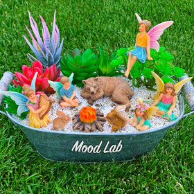 Mood Lab fairy garden camping set figurine 2 brightens indoor shelf displays.