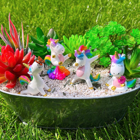Mood Lab fairy garden unicorn statue brightens indoor plant displays