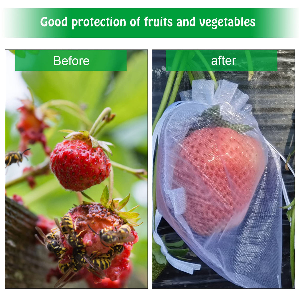 Moonoom organza netting protects tomatoes on vines with breathable mesh