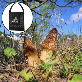Moonoom mushroom-foraging bag ready for camping trips and fruit picking.