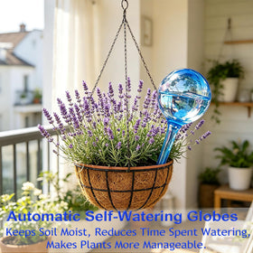 MOONSOUND globes filled with water for steady soil moisture near roots.