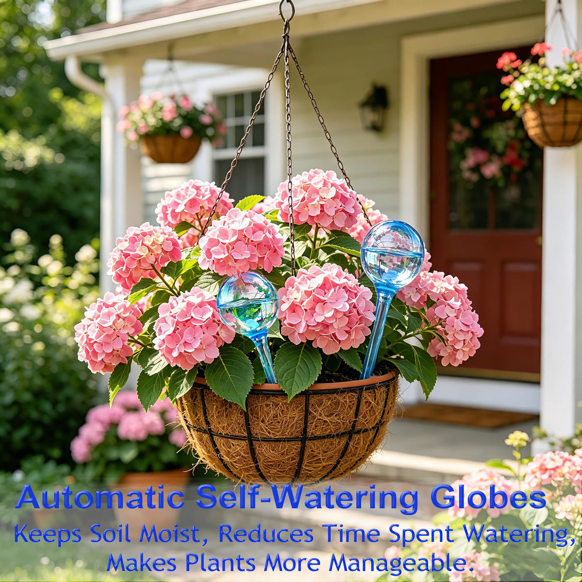 MOONSOUND globes in a hanging basket ensuring consistent moisture