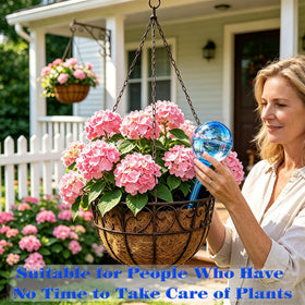 MOONSOUND globes for hanging plants providing discreet moisture delivery.
