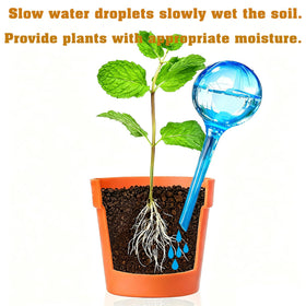 MOONSOUND globes in a potted plant illustrating discreet self-watering