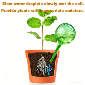 MOONSOUND self-watering kit ideal for travel and busy homes.