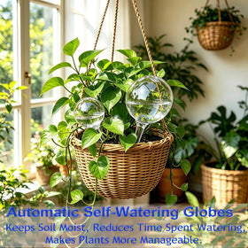 MOONSOUND self-watering bulbs for indoor and outdoor use, hands-free irrigation