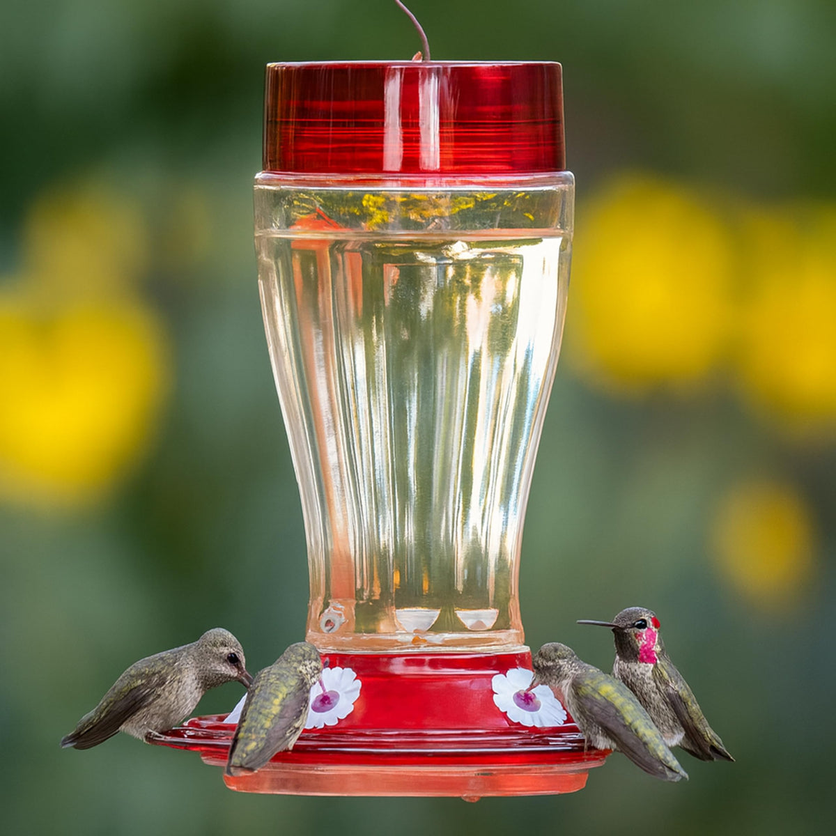 Flower-shaped ports for easy nectar access on More Birds Big Gulp.