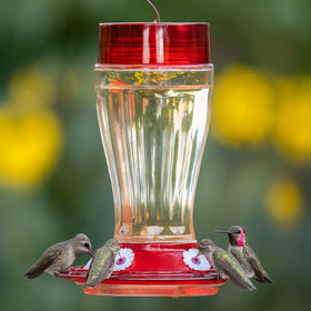 Flower-shaped ports for easy nectar access on More Birds Big Gulp.