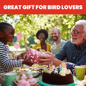 Outdoor-friendly More Birds feeder ready for garden or patio use.